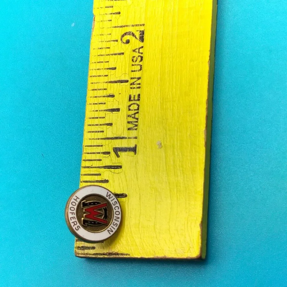Wisconsin Hoofers Enamel Lapel Pin Outdoors Club University Wisconsin Madison